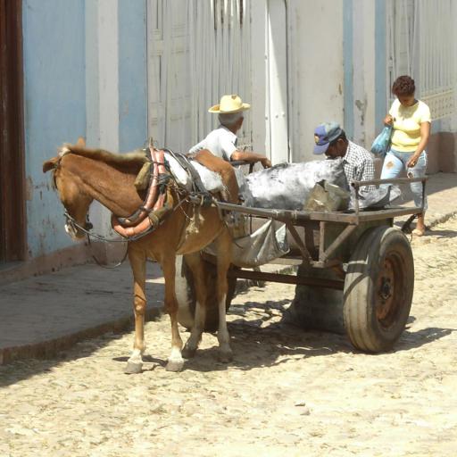 2006 Cuba